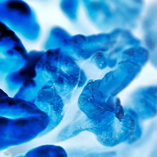 20260408_smn_blog_science_innovation_clinical_research_newsletter
